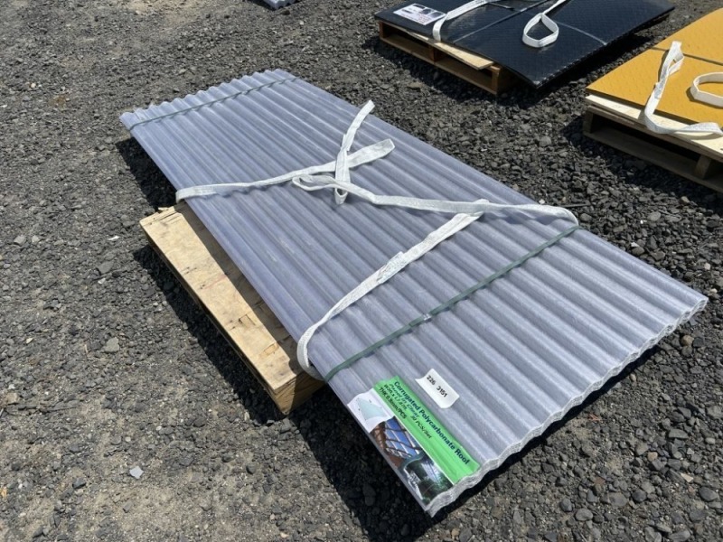 2026 Clear 8' x 3' Poly Roof Panels, Qty. 30