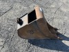 Paladin 12" Dig Bucket - 4