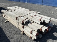 Wood Shoring W/Ellis Shore Clamps