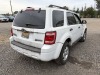 2008 Ford Escape Hybrid SUV - 4