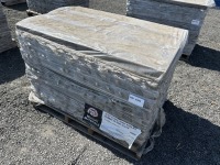 Ashlar Summit Blend Slate Step Stone