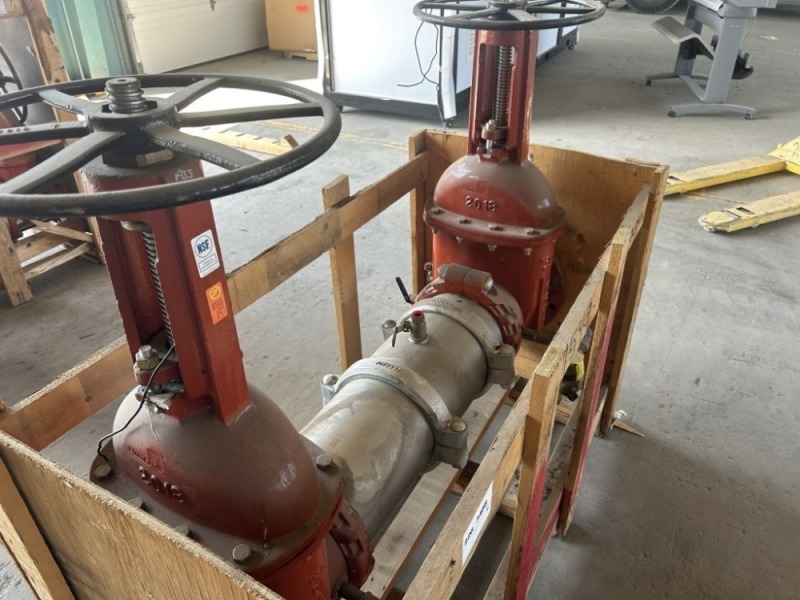 10" Double Check Valve Assembly