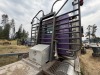 2006 Kenworth T800 T/A Log Truck - 8