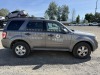 2009 Ford Escape XLT 4WD SUV - 3