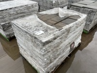 Ashlar Summit Blend Slate Step Stone