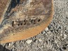 FMCO 42" Muck Bucket - 5