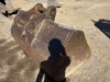 BMP 68" Muck Bucket - 5