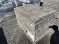 Summit Blend Step Stone Pavers, Qty. 56