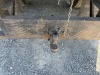 2006 GMC C6500 Chip Truck - 17