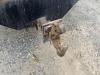 2008 Ford F450 SD Hook Truck - 25