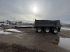 1995 Lely Tri-Axle Pup Trailer - 7